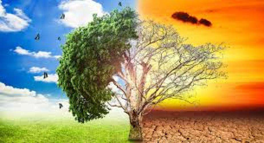 ASHRAE Technical Program For Winter Conference Focuses On Reducing Ecological Impact